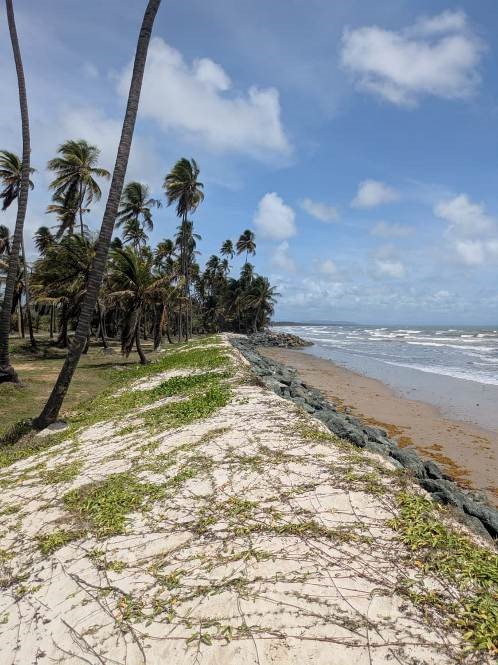 South-Manzanilla-Shoreline-Stabilisation-Works-South-Manzanilla-After.jpg