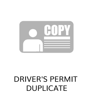 COPYDriver-s-Permit-duplicate.png